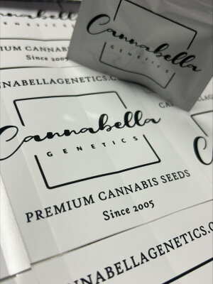 
Cannabella Genetics Seeds
Cannabella...