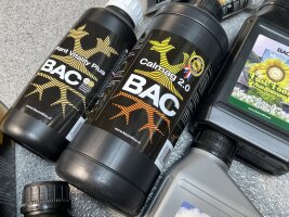 BAC