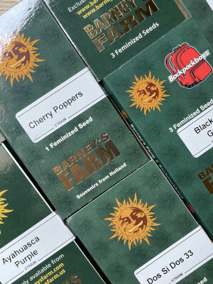 Barney’s Farm ist ein international bekannter...