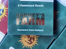 Barney`s Farm Seeds