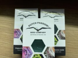 DUTCH PASSION