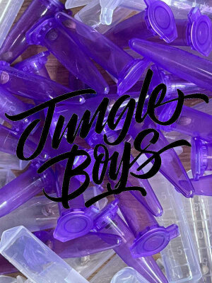 Nachdem wir die ersten Pflanzen&nbsp;von den...