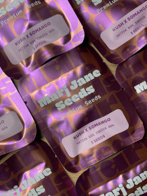 Mari Jane Seeds ist ein moderner...