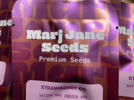 Marj Jane Seeds