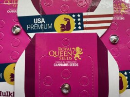 Royal Queen Seeds