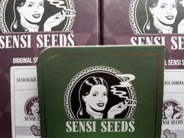 Sensi Seeds