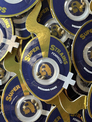 Super Strains ist ein traditionsreicher...