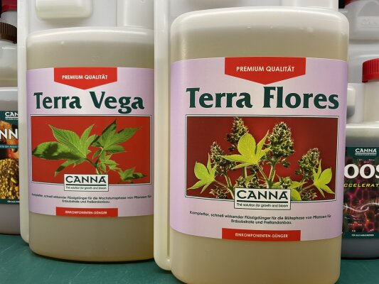 Canna Terra