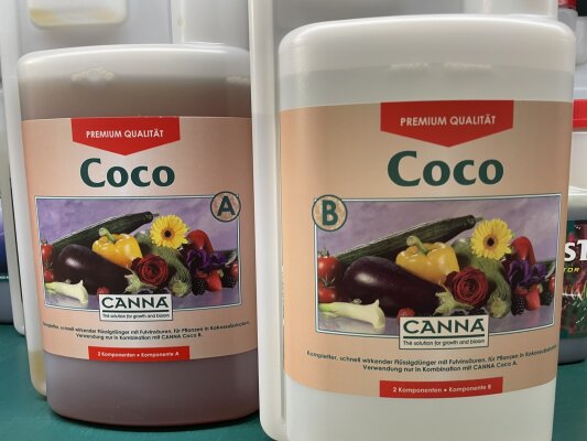 Canna Coco