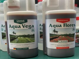 Canna Aqua