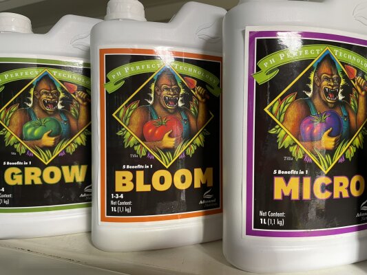 PH Perfect Grow Micro Bloom