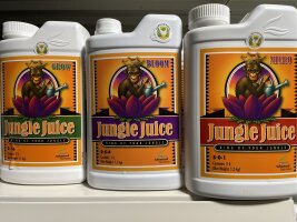 Jungle Juice