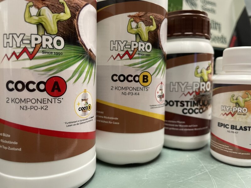 Coco