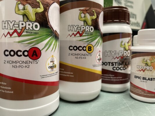 Coco