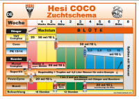 Hesi Root Complex
