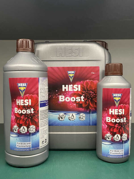 Hesi Boost