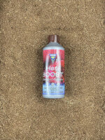 Hesi Boost