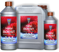Hesi Boost