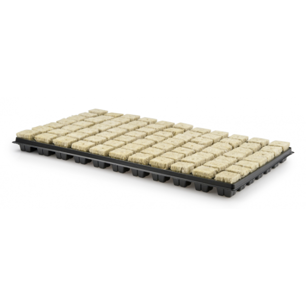 Grodan/Cultiwool Steinwolle Tray 77 (77 Stk. mit 3,6x3,6cm)