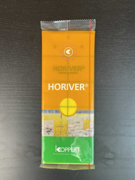 Gelbtafeln 10er / groß / Profi (Leimfalle)
