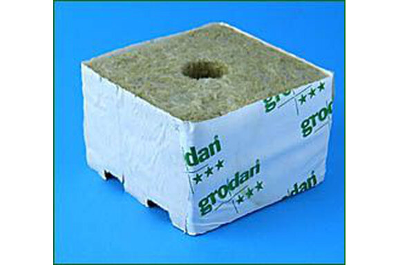 Grodan/Cultiwool Steinwollblock 10x10x6,5cm (kleines Loch 2,7cm)