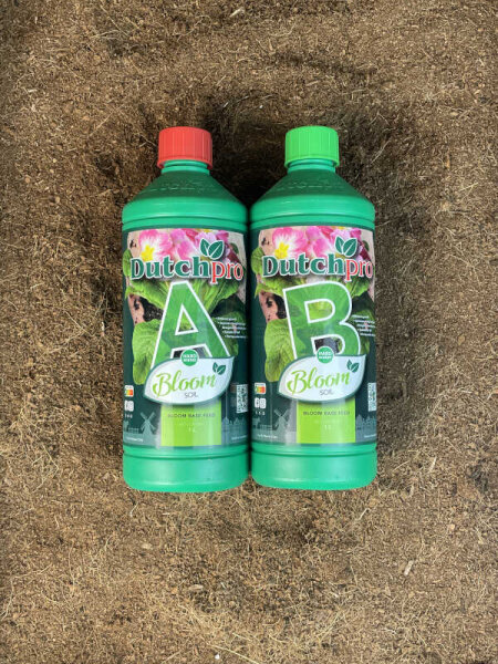 Dutchpro Erde A+B Bloom