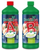 Dutchpro Hydro/Coco A+B Bloom