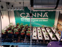 Homebox Ambient R240 (240x120x200cm)