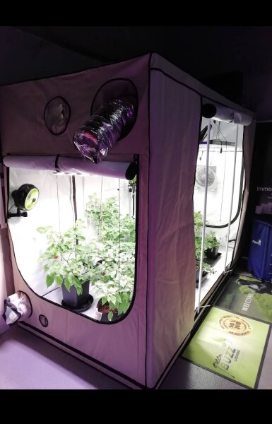 Homebox Ambient R300+ (300x150x220cm)