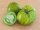 Bingenheimer Tomate Green Zebra