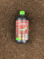 GreenBuzz Big Fruits