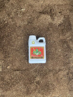 Advanced Nutrients Bud Ignitor