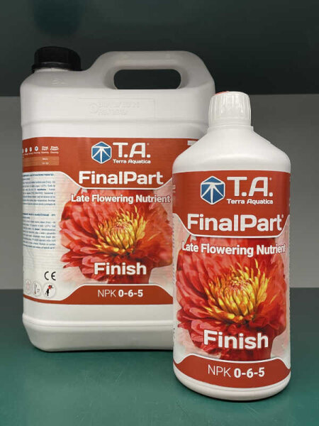 T.A. Final Part