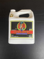 Advanced Nutrients Connoisseur Grow A+B, je 4l - pH Perfect