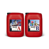Mills Basis A+B