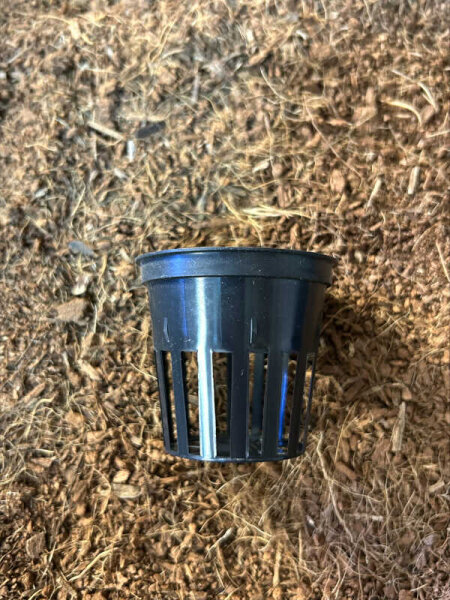 Netztopf 5,5cm Aerosysteme