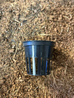 Netztopf 5,5cm Aerosysteme