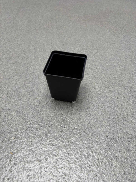0,25l Topf viereckig 7x7x8cm