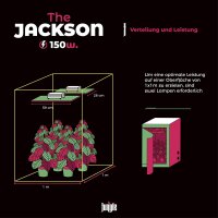 the jungle The Jackson 150W IEC V2