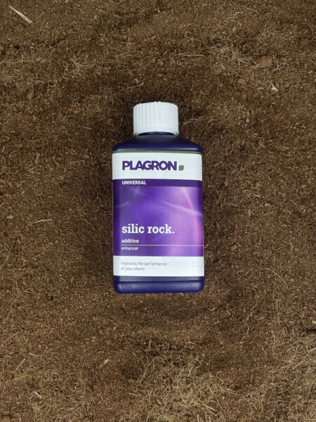 Plagron Silic Rock