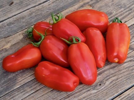 Bingenheimer Tomate San Marzano