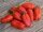 Bingenheimer Tomate San Marzano