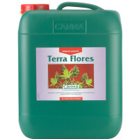 Canna Terra Flores