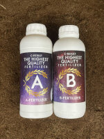 C-Result A & B