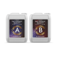 C-Result A & B