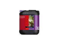Atami Bcuzz Coco Bloom Stimulator