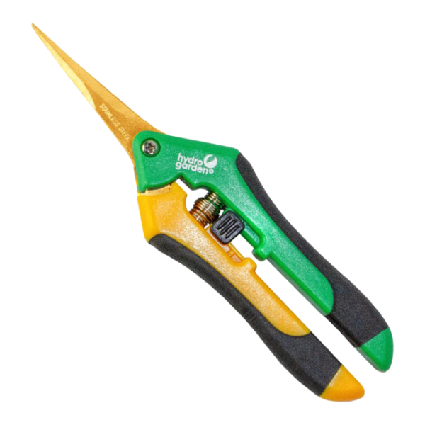 Präzisionsschere, gebogene Klinge, Titanbeschichtung (gold)