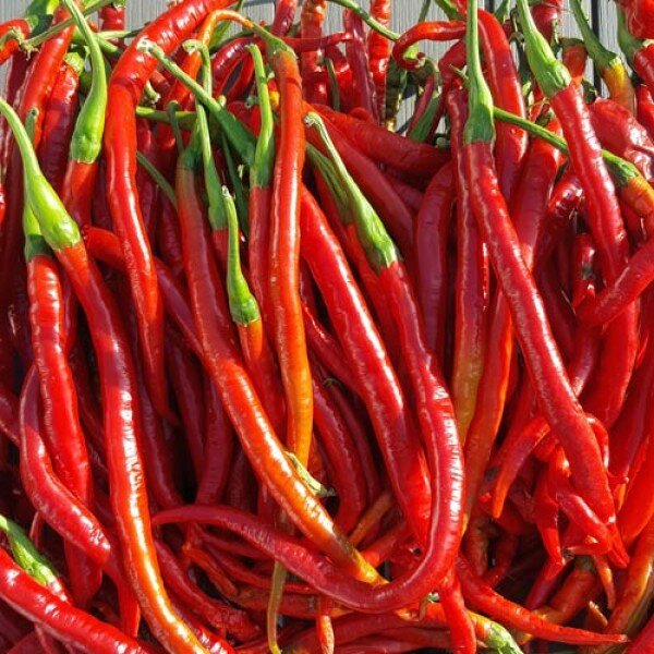 Chili Joes Long Cayenne