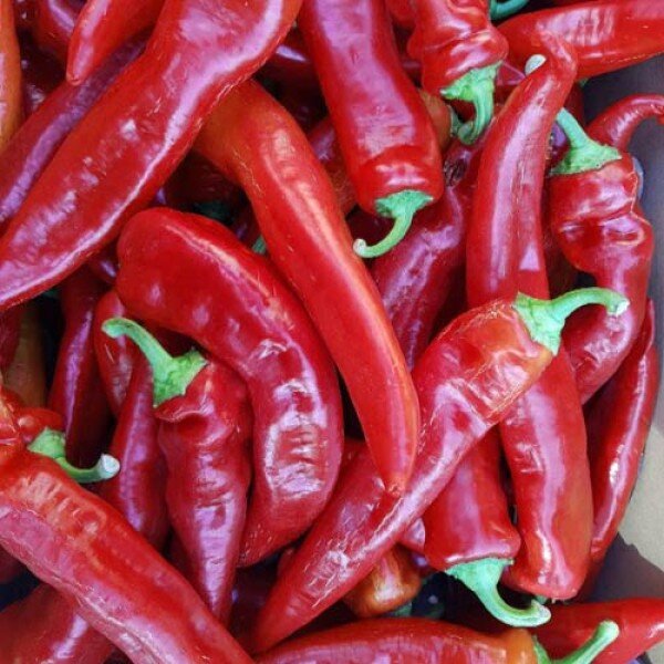 Chili Hegyes Erös