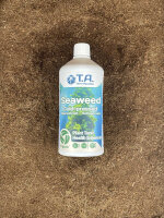 T.A. Seaweed